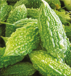 Bitter Gourd seeds