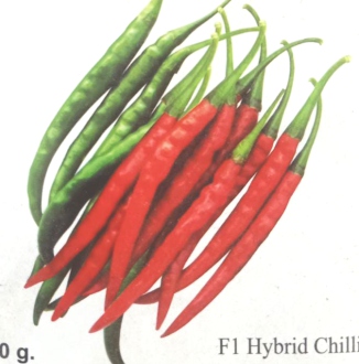 Chilli seed varieties by Cropgene